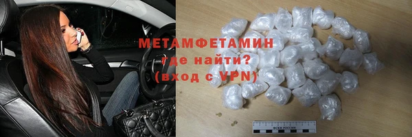прущие грибы Новозыбков